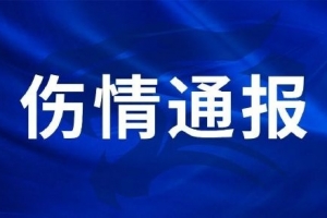 WNBA明尼苏达山猫vs康涅狄格太阳_WNBA明尼苏达山猫vs康涅狄格太阳超清直播_WNBA明尼苏达山猫vs康涅狄格太阳1080p 在线观看